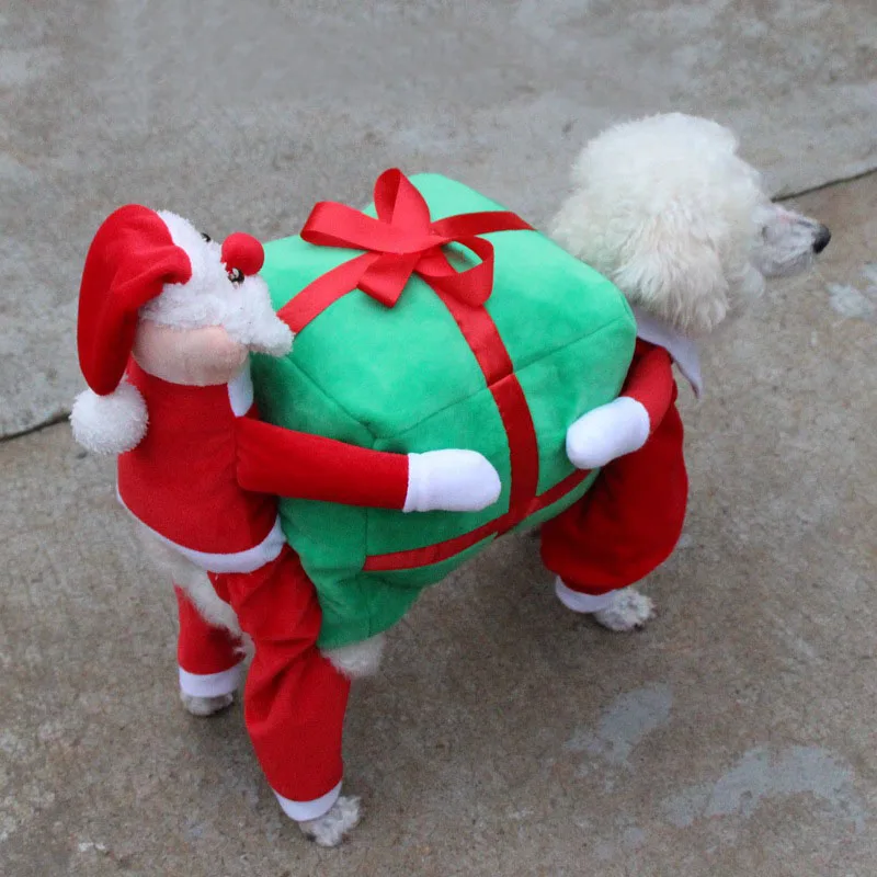 3588959634_1172365047