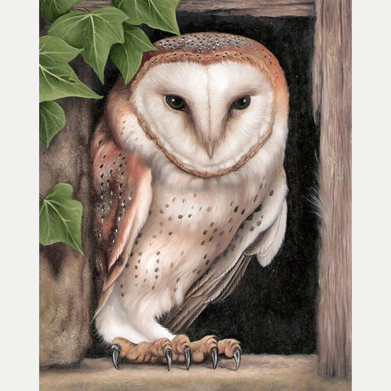 

LZAIQIZG Diamond Embroidery Beautiful Owl DIY Diamond Painting Full Square Diamond Mosaic Pictures Of Rhinestones Home Decor