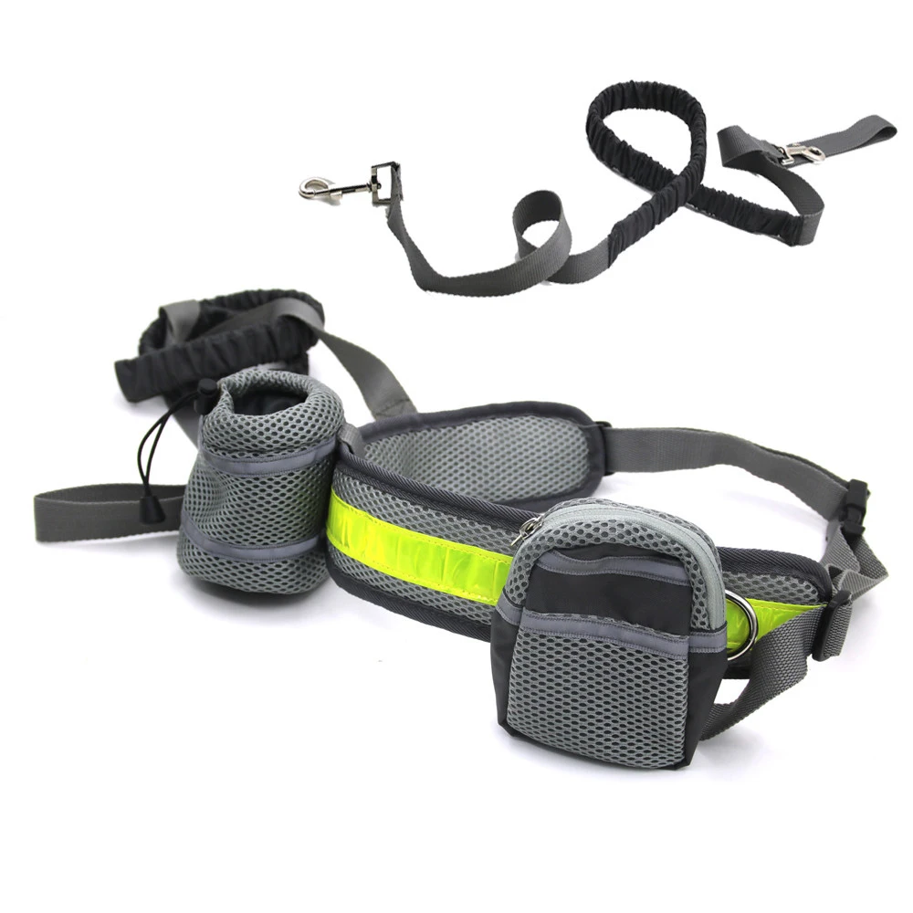 Buy Reflective Portable Waist Pocket Pet Dog Training