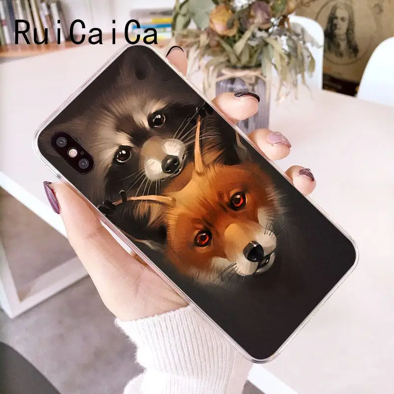 Animal Raccoon Fox