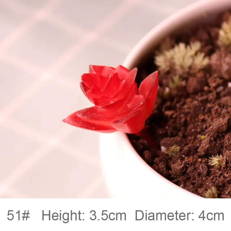 Мини Искусственные влагозапасающие растения, зеленые различные пластиковые растения, украшение садового орнамента, искусственные растения, искусственные растения - Цвет: Red San Xin Lian