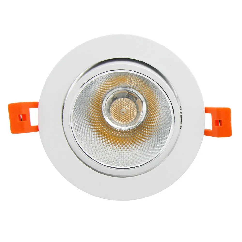 LED Downlight (5)