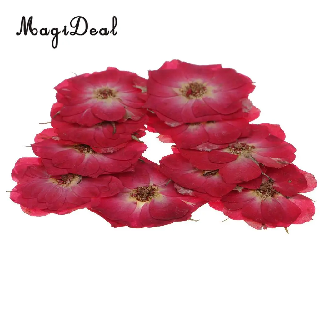 22pcs Natural Real Rose Flower Violet Dried Pressed Flowers for Scrapbooking Crafts