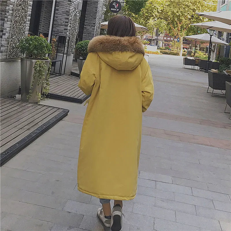 Lâche Nouveau Raton À Veste Épais Real Down Fourrure De Hiver Femme Laveur Capuche D'hiver Manteau 2018 Long Collier Jaune Big Parka Chaud pH07tqw