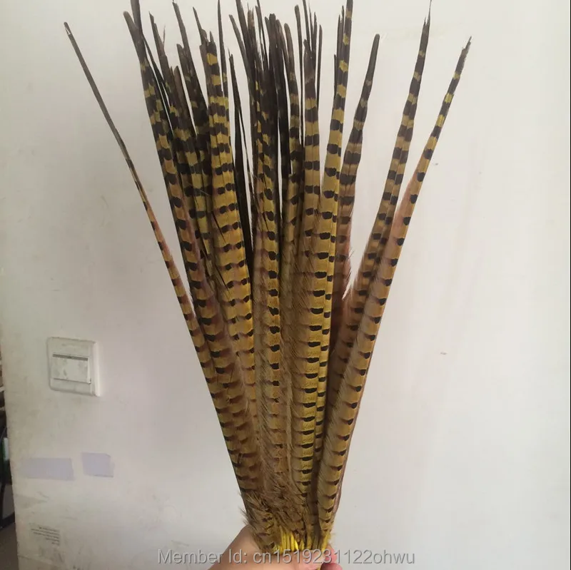 Wholesale 2-50pcs rare natural pheasant feathers 45-50 cm//18-20 inch decoration