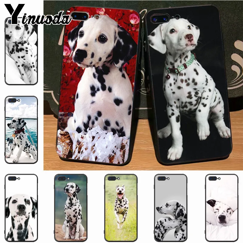 

Yinuoda Dalmatian dog puppy On Sale Luxury Cool Phone Accessories Case for iPhone 7plus 6S 7 8 8Plus X 5S 11pro case cover