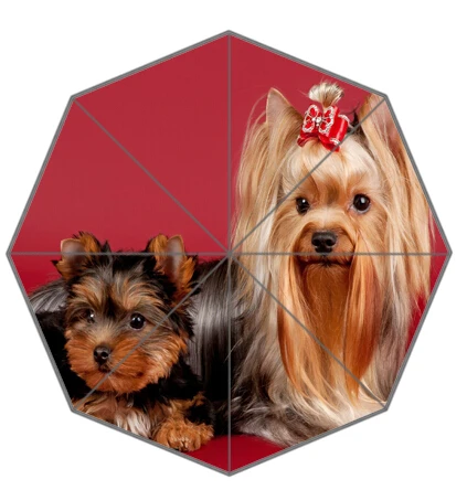 

Custom Yorkshire Terrier Smart Pet-4 elephant Foldable Umbrellas Suprised Gift For lover friend