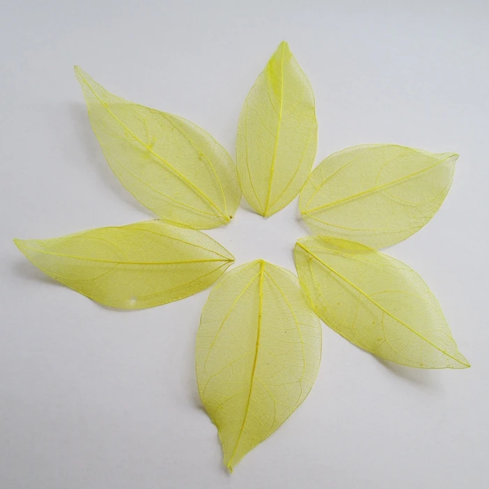 

Free shipping Wholesale 100pcs yellow color Natural skeleton leaves for DIY 3-7cm 014005009