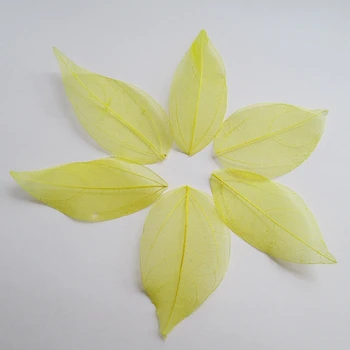 

Free shipping Wholesale 100pcs yellow color Natural skeleton leaves for DIY 3-7cm 014005009