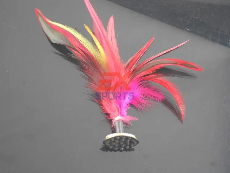 New Sport Kick Shuttlecock Chinese Jianzi Toy Play JIANZI Game (9)