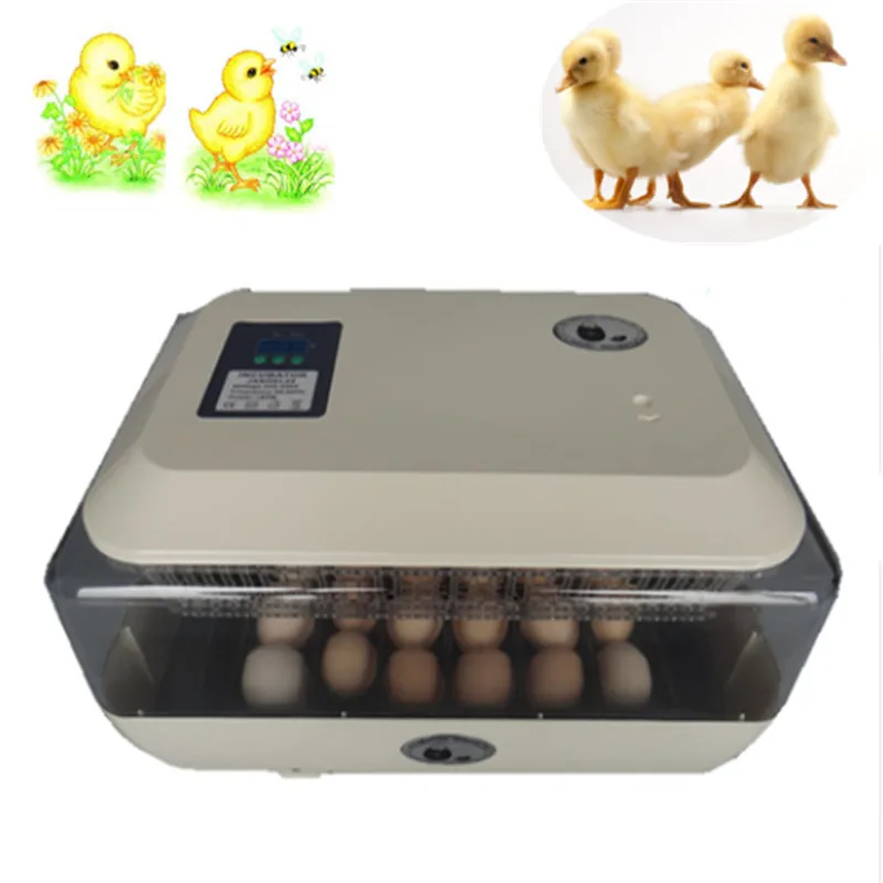 

24 Eggs Mini Incubator Automatically Eggs-Turning Hatcher Machine Chicken Experimental Teaching Equipment