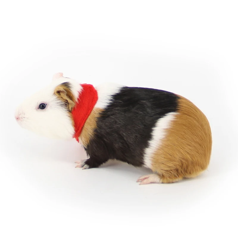 

1PC Lovely Cute Mini Red Saliva Towel Bandage Scarf Small Animal Pet Rabbit Guinea Pig Hamster Bib Squirrel Decoration