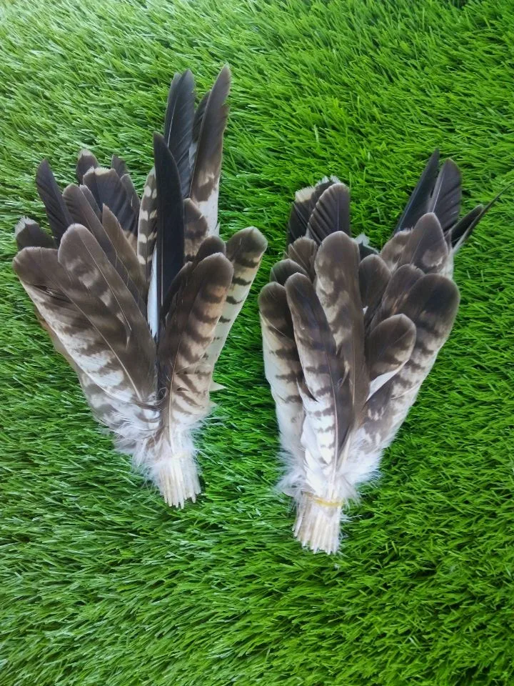 Новинка! 50 шт. искусственные перья 8 13 дюймов/20 32 см|owl feathers|feather featherfeather |