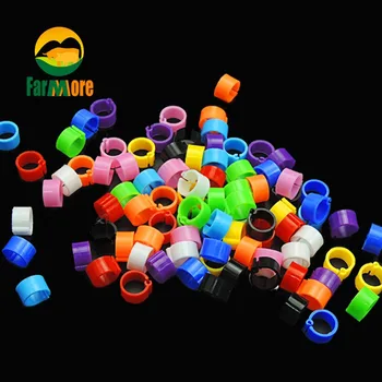 

100 Pcs Pigeon Rings Inner Diameter 8mm Canary Doves Quail Parrot Bird Rings Bird Leg Tool Pigeon Training Supplies Accessories
