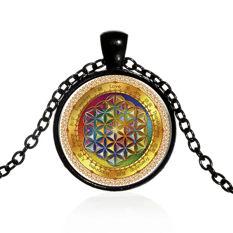 3642397329_942284573