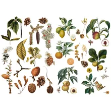 1 шт. растения сосновый орех фруктовое дерево корейский Precut украшения наклейки Настольный органайзер школьные принадлежности офисные аксессуары