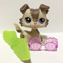 Pet Shop животное кукла Фигурка детская игрушка грил колли собака без магнита DWA370B