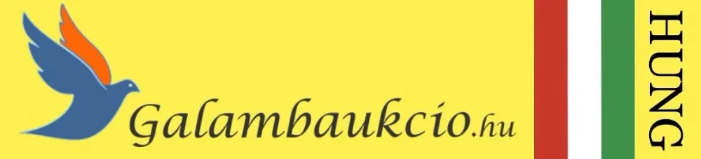 UTB8HQlYoD_IXKJkSalUq6yBzVXau