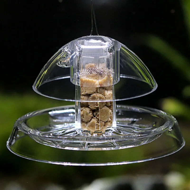 

Clear Snail Trap Planarian Leech Catch Environment Aquarium Fish Plants Tank Plastic Aquarium Fish Tank Plants