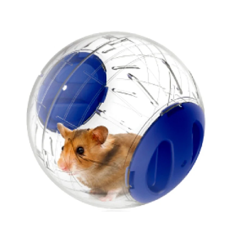 Where can I buy hamsters online?