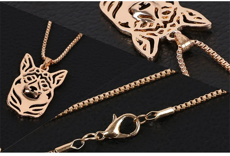 2812886569_1522501699