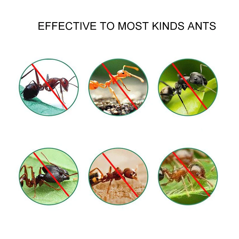100 шт муравьиная приманка, порошок муравьев, Отпугиватель муравьев, ловушка-убийца, сильные эффективные препараты для борьбы с вредителями, экологически чистые для человека