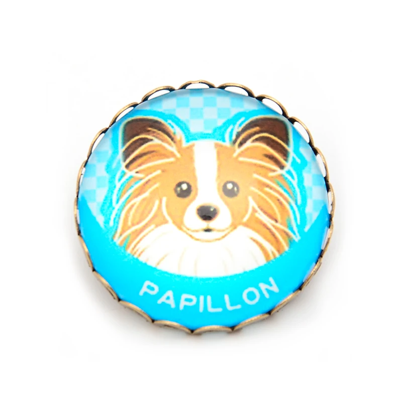 aeProduct.getSubject()