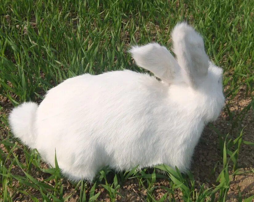 simulasyon simulasyon beyaz tavsan kurk hayvan ev mefrusat urunleri deri el sanatlari