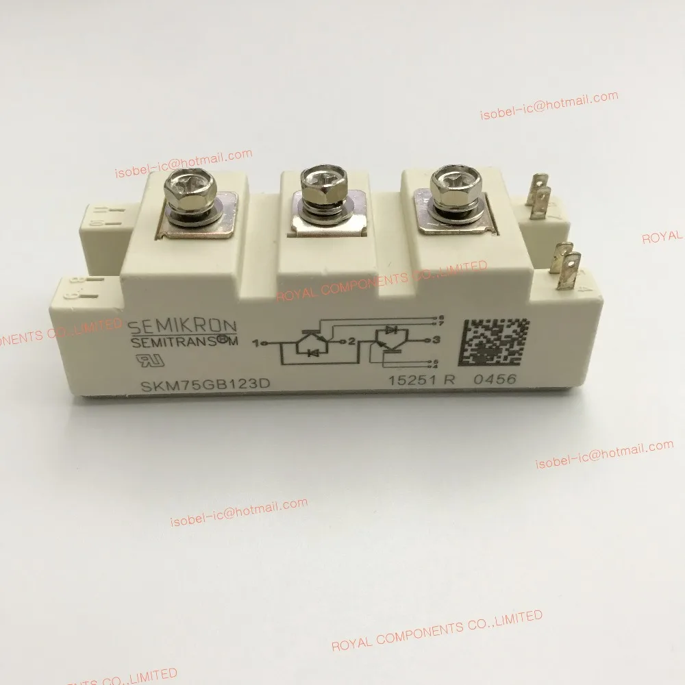 BSM100GB60DLC