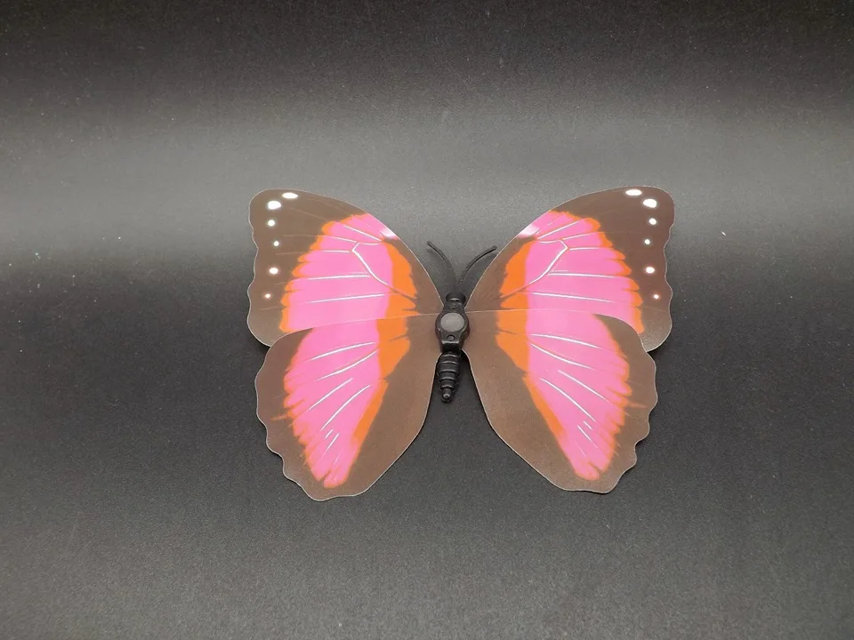 I235-Butterfly (8)