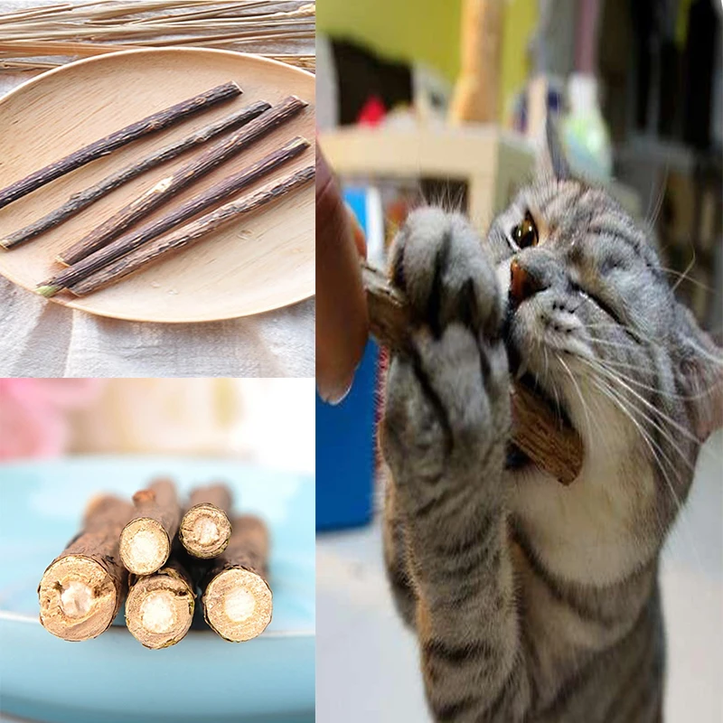 

5 pcs Natural Matatabi Polygonum Cat Cleaning Teeth Natural Catnip Molar Chew Stick Vine Toy