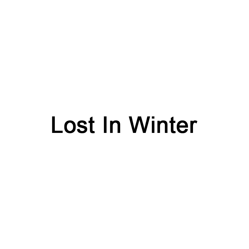 

5D Diy Full Square Diamond Painting Cross Stitch "Lost In Winter" Diamond Embroidery Mosaic Rhinestone Needlework Decor Gift
