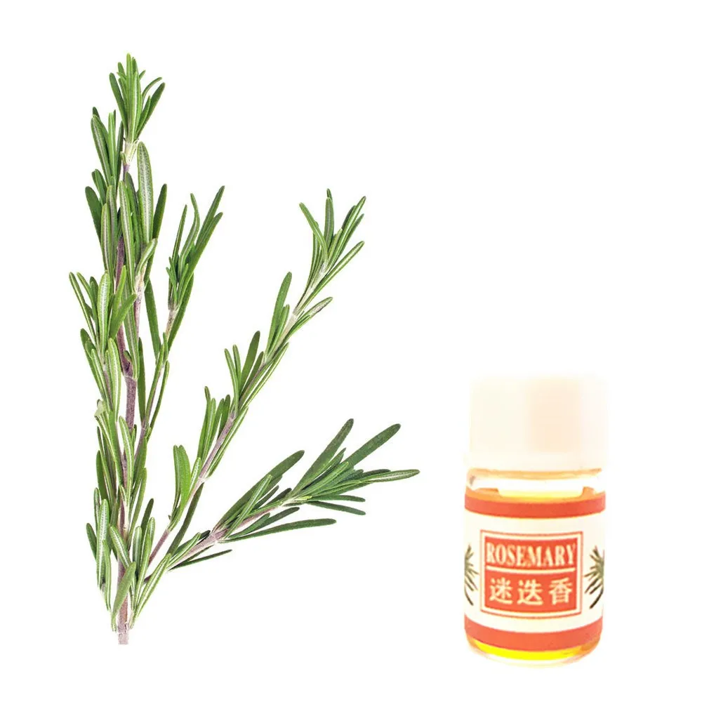 

rosemary citronella help sleep aromatherapy Essential Oil
