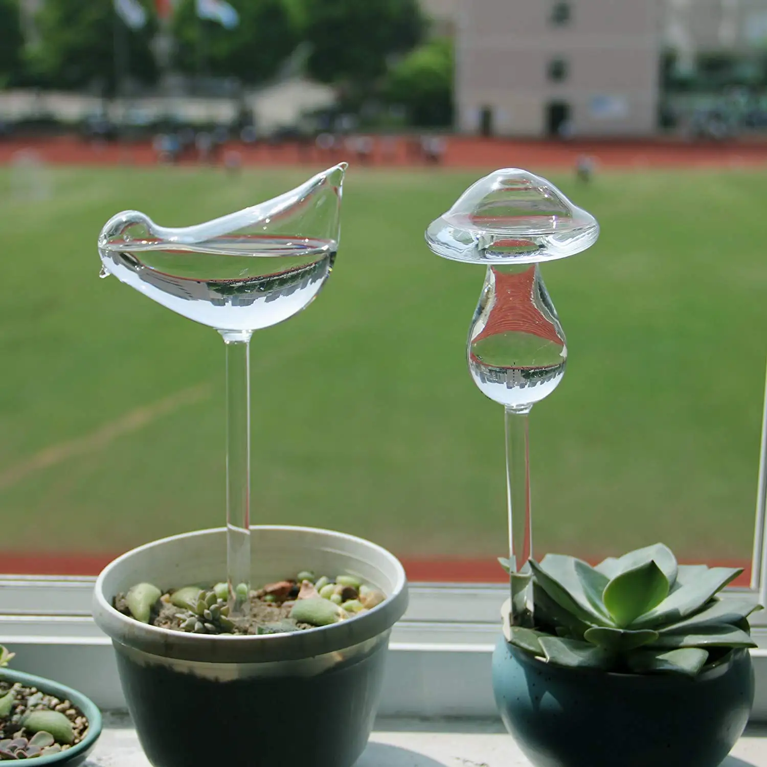 Лампы для полива растений, птица/гриб дизайн ручной выдувного стекла самополива(прозрачный