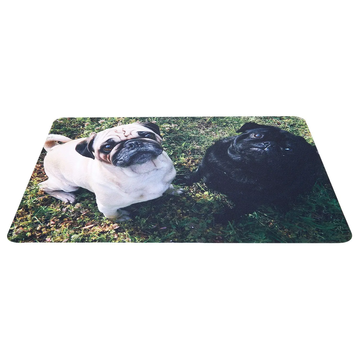 CNIM Горячая 40*60 см Ковер 3D дверной коврик с принтом милая собака коврик для ванной нескользящий ванная кухня ковры коврик для гостиной