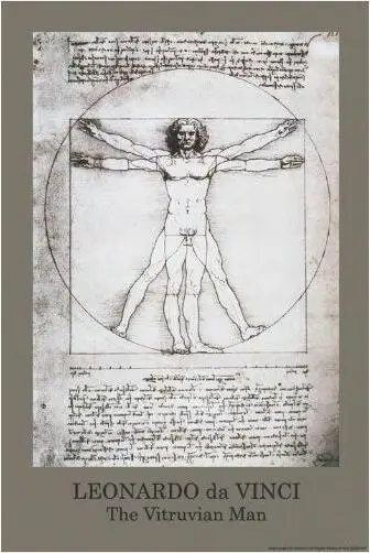 VITRUVIAN MAN DAVINCI художественный Шелковый плакат декоративной живописи