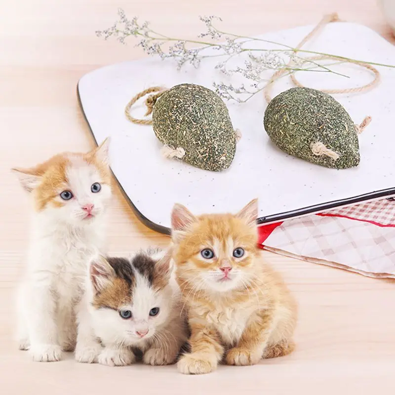 Подвесная кошачья мышка забавная игрушечная кошка для питомца котенка увеличение аппетита увеличение контакта Excreting Hair Ball