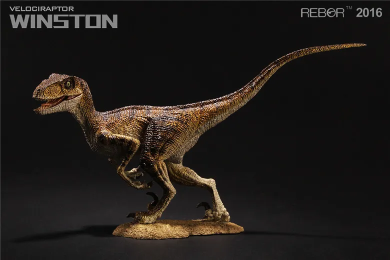 REBOR Velociraptor Winston PVC 1//18 Dinosaur Museum Class Model