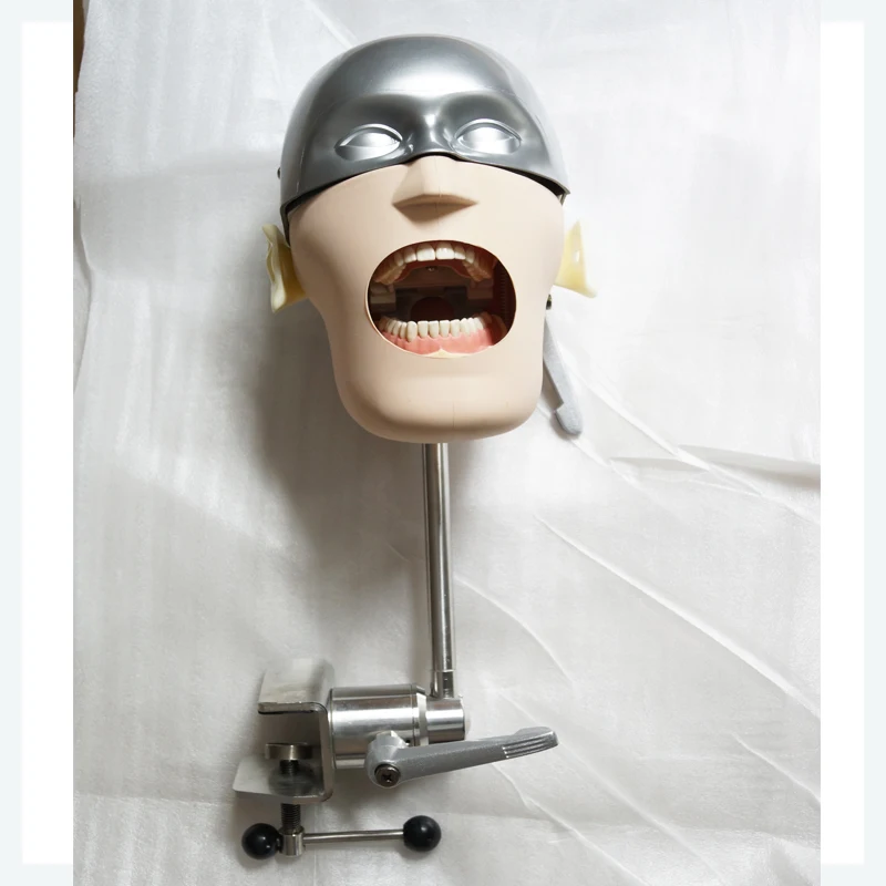 Phantom головы манекен с торс для зубные образование стоматологии и технологии