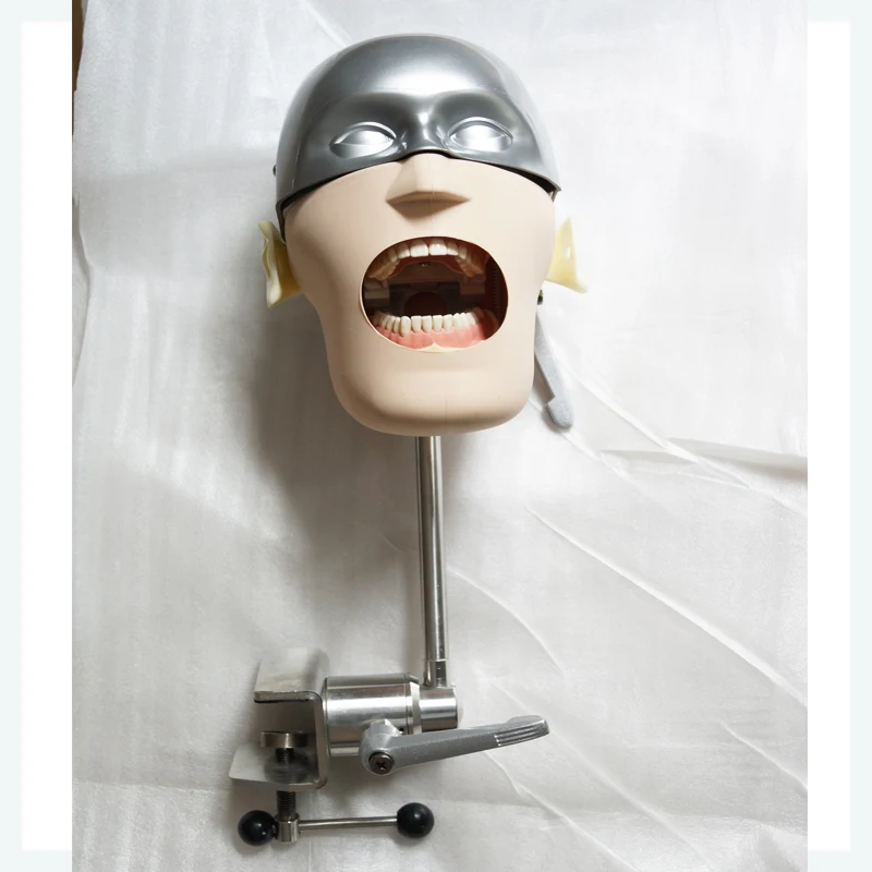 Buy Phantom Head manikins with Torso for dental
