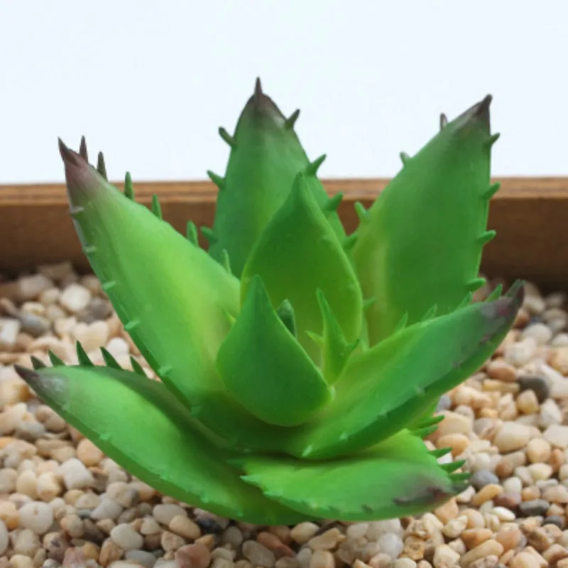 

new Aloe ferox Artificial Simulation Meaty plant Conversion Garden Family Kitchen Kindergarten Handwork DIY Decoration Fruit