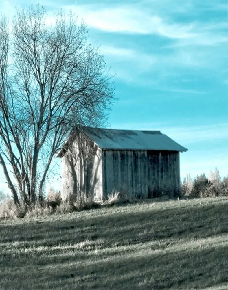 

5x7ft House Tree Blue Sky Photography Backdrops Photo Props Studio Background