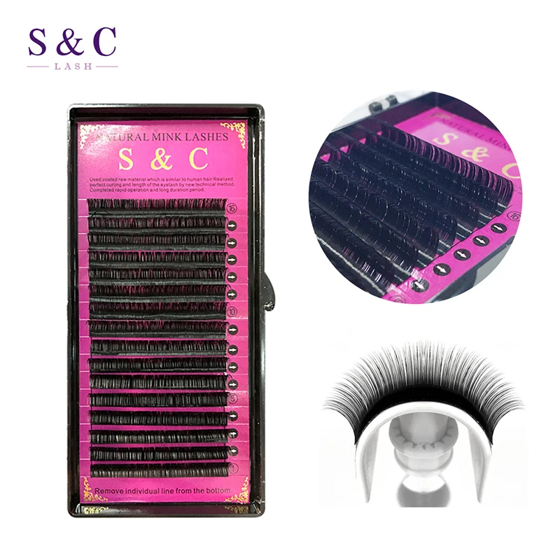 S C Lash 6cases lot J B C D Curl All Size Eyelash Extension Individual Mink