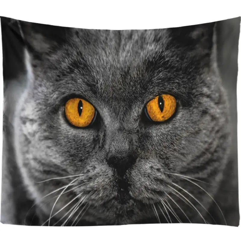 Humor животное кошка настенный гобелен мех серый котенок ПЭТ декоративный хиппи настенный гобелен из ткани психоделический гобелен настенный большой - Цвет: DW001