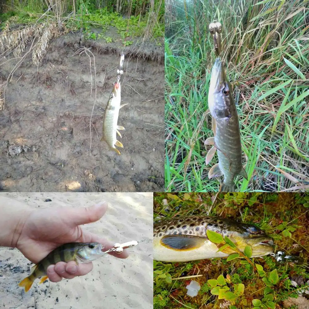 Weihefishing 5G 10G-15g-20g المعادن زينة سبينر باس بايك DD الحلي IKOGD الصيد السحر الاصطناعي الطعم الثابت القرف Pesca Weihefishing 5G 10G-15g-20g المعادن زينة سبينر باس بايك DD الحلي IKOGD الصيد السحر الاصطناعي الطعم الثابت القرف Pesca