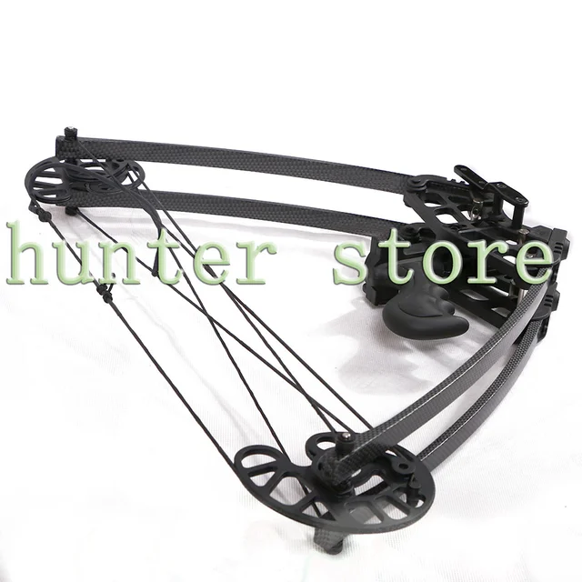 Best price at $127 Cheap hunting archery compound bow 50lbs new triangle bows with bow case for left/right hand archer sling shot target shooting