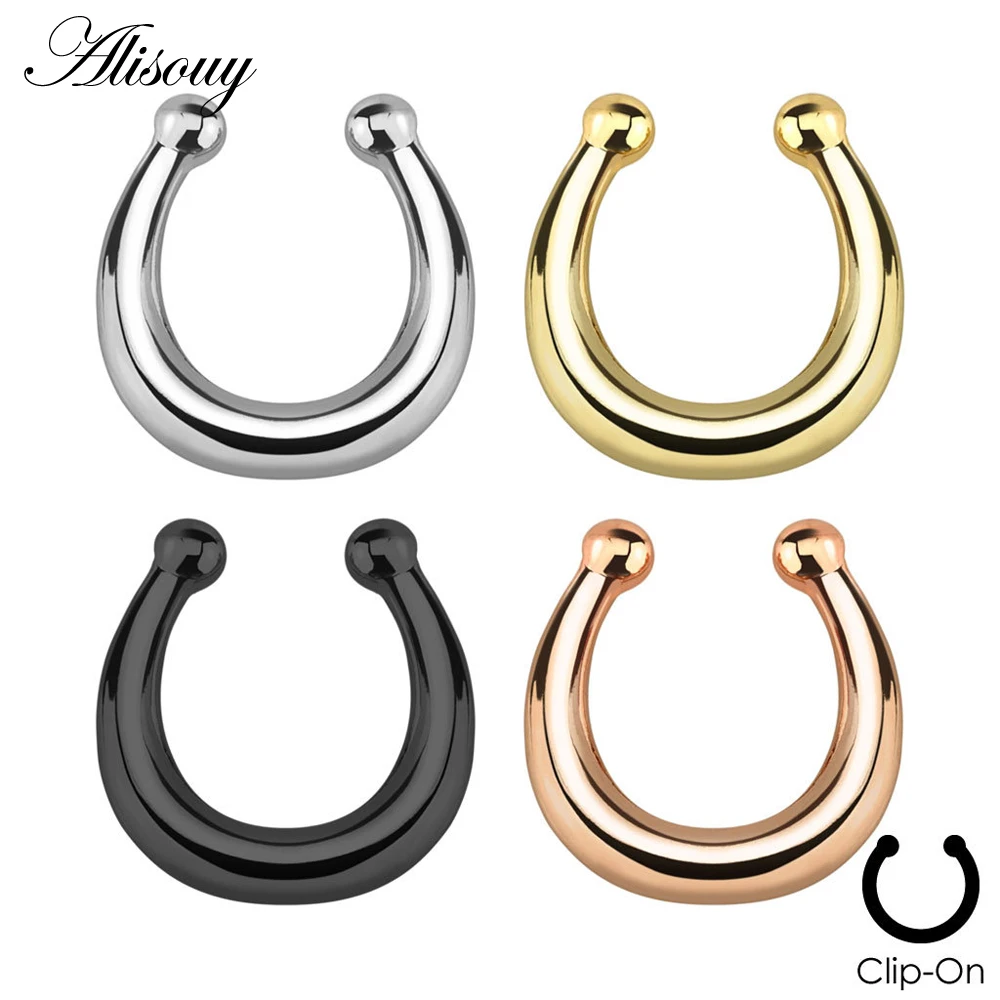 

Alisouy 1 pc Fake Septum Clicker Ring Hanger Clip On Non Piercing Nose Ring Hoop Fake Nose Piercing Body Jewelry