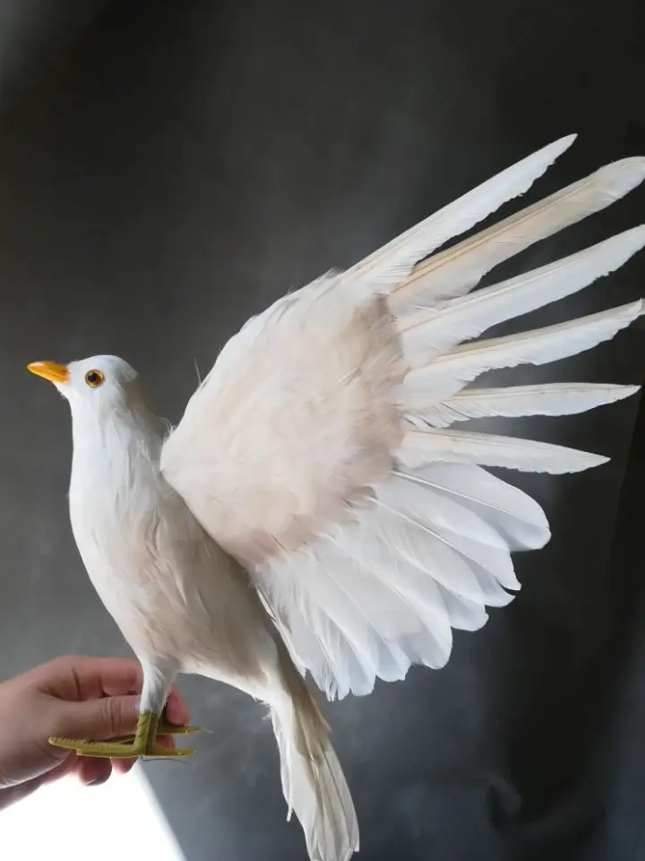 

real life Bird white feathers Bird dove large 40x60cm spreading wings peace bird garden decoration filming prop gift h1809