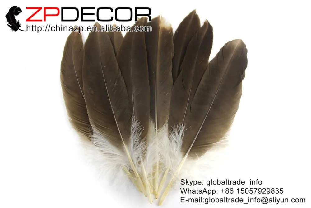 12-14inch rare and precious natural eagle feather (7)