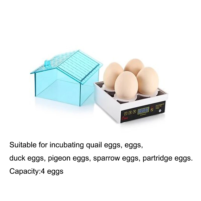 110V/220V 4 eggs egg incubation Automatic Incubator Chicken Egg Incubator Digital Temperature Control Pigeon Hatcher 110V/220V 4 eggs egg incubation Automatic Incubator Chicken Egg Incubator Digital Temperature Control Pigeon Hatcher